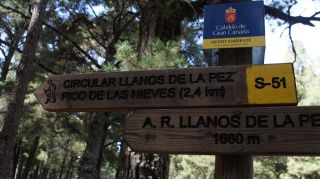 2019-02-GC-Pico_Nieves-PM-NN-07.JPG